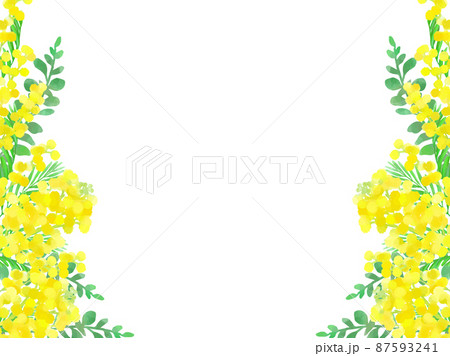 ミモザの手描きイラストのカード ミモザの手描きイラストのカード 87593241