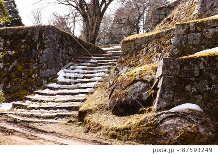 女城主の里・壮大な石垣群が残る岩村城跡「女城主の城」3月（岐阜県恵那市） 87593249