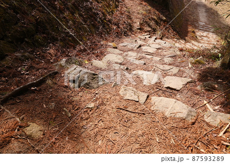 女城主の里・壮大な石垣群が残る岩村城跡「女城主の城」3月(岐阜県恵那市) 女城主の里・壮大な石垣群が残る岩村城跡「女城主の城」3月(岐阜県恵那市) 87593289