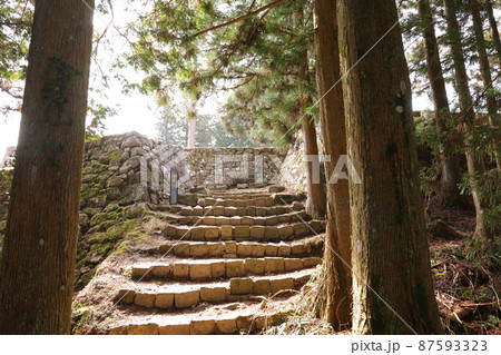 女城主の里・壮大な石垣群が残る岩村城跡「女城主の城」3月（岐阜県恵那市） 87593323