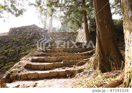女城主の里・壮大な石垣群が残る岩村城跡「女城主の城」3月（岐阜県恵那市） 87593326