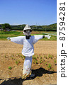 かかし 87594281