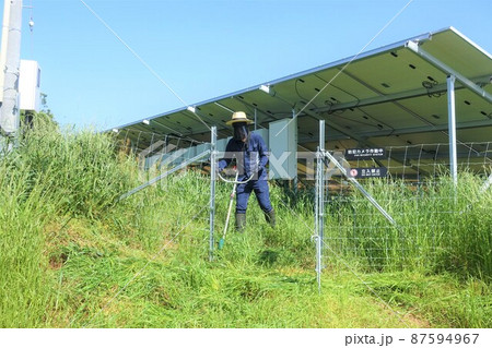 太陽光発電所の除草作業 草刈りをする男性 太陽光発電所の除草作業 草刈りをする男性 87594967