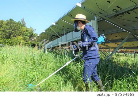 太陽光発電所の除草作業　草刈りをする男性　 87594968