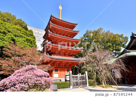 東長寺の五重塔 福岡市博多区御供所町2-4 東長寺の五重塔 福岡市博多区御供所町2-4 87595244