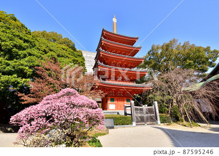 東長寺の五重塔　福岡市博多区御供所町2-4 87595246