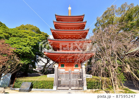 東長寺の五重塔 福岡市博多区御供所町2-4 東長寺の五重塔 福岡市博多区御供所町2-4 87595247