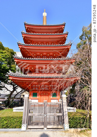 東長寺の五重塔 福岡市博多区御供所町2-4 東長寺の五重塔 福岡市博多区御供所町2-4 87595248