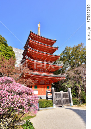 東長寺の五重塔　福岡市博多区御供所町2-4 87595250