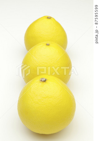 日向夏 日向夏 87595599