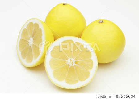 日向夏 日向夏 87595604