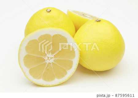 日向夏 87595611