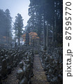 雲辺寺 87595770