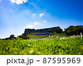 晴れた青空に映える芝生に建つ勝蓮城 87595969