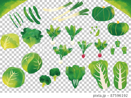 水彩風　緑な野菜セット 87596192