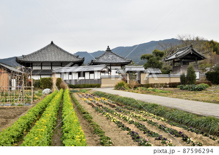 飛鳥寺 【奈良県明日香村】 飛鳥寺 【奈良県明日香村】 87596294