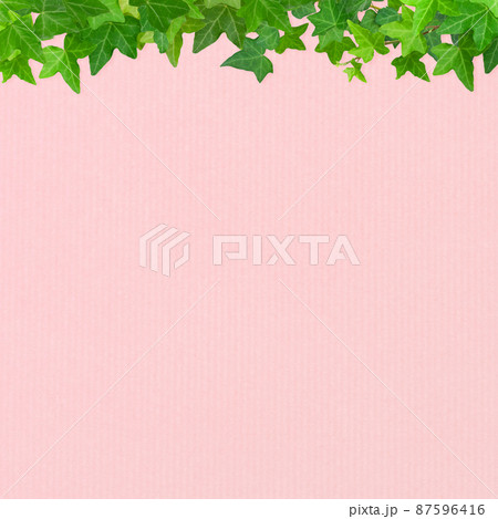 かわいいピンク色の背景とアイビーのイラスト素材