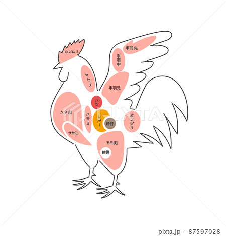 鶏肉部位 鶏肉部位 87597028