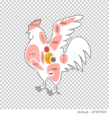鶏肉部位 鶏肉部位 87597028