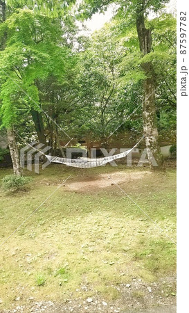新録の庭園とハンモック 新録の庭園とハンモック 87597782