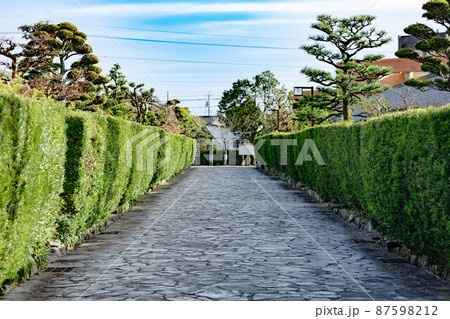 御城番屋敷主屋 御城番屋敷主屋 87598212