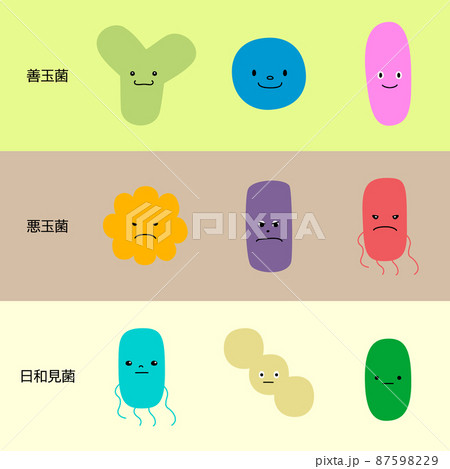 腸内細菌 善玉菌 悪玉菌 日和見菌 のベクターイラストセットのイラスト素材 腸内細菌 善玉菌 悪玉菌 日和見菌 のベクターイラストセットのイラスト素材
