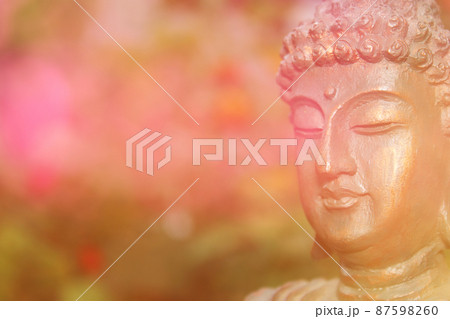 Buddha Statue in Garden with blurred flowers in background 87598260