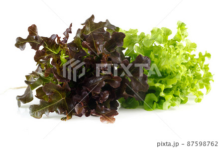 Fresh red and green oak vegetable 87598762