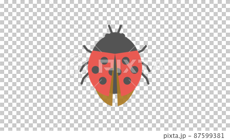 飛びかけのテントウムシのイラスト素材