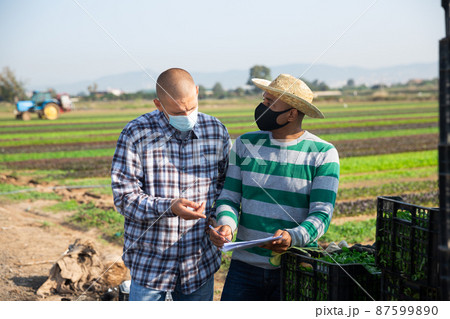 Two farmers in protective mask are planning work on field 87599890