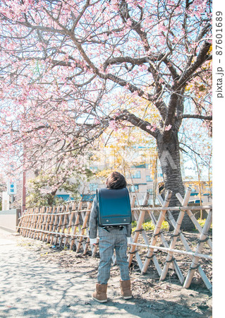 桜を見上げる男の子 桜を見上げる男の子 87601689