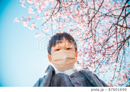 マスクの男の子と桜 マスクの男の子と桜 87601690