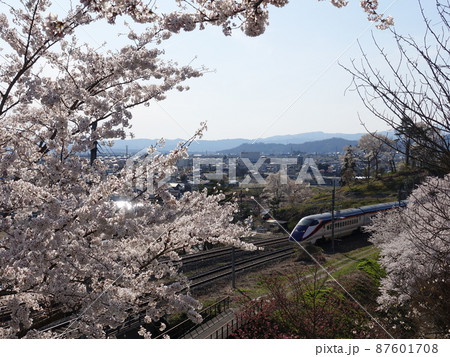 桜エクスプレス　SAKURA EXPRESS　山形新幹線　つばさ 87601708