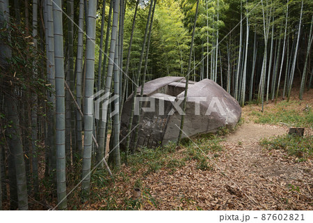 益田岩船（奈良県橿原市） 87602821