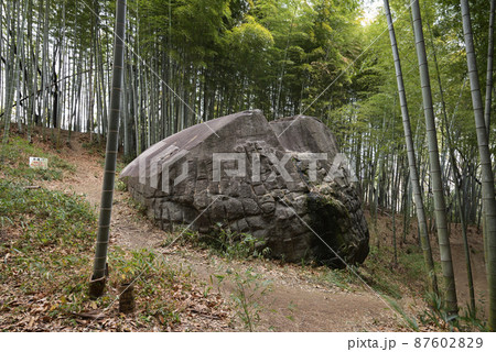 益田岩船（奈良県橿原市） 87602829