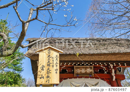 東京都 深大寺だるま市 厄除元三大師大祭 (日本三大だるま市) 東京都 深大寺だるま市 厄除元三大師大祭 (日本三大だるま市) 87603497