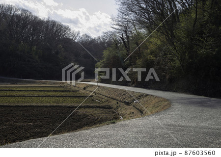 冬の田んぼのカーブする道 87603560