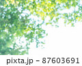 春や初夏のきれいな木々の玉ボケ素材 87603691
