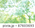 春や初夏のきれいな木々の玉ボケ素材 87603693