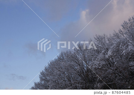 12月末 岐阜市の朝空と着雪した山 12月末 岐阜市の朝空と着雪した山 87604485