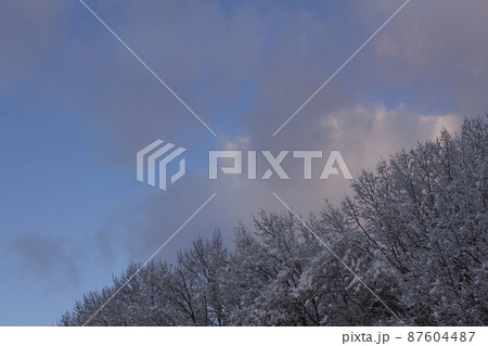 12月末 岐阜市の朝空と着雪した山 12月末 岐阜市の朝空と着雪した山 87604487
