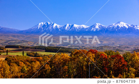 【北海道・美瑛】美瑛の丘と大雪山国立公園 10月 87604739