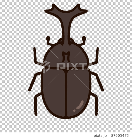 可愛的甲蟲 87605475