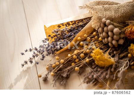 ドライフラワー 87606562