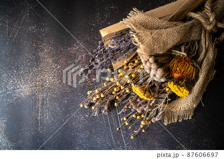 ドライフラワー 87606697