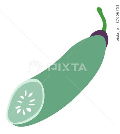Zucchini vegetable, ripe squash veggie vector Zucchini vegetable, ripe squash veggie vector 87606753