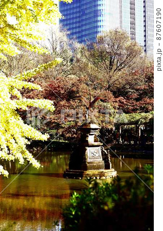 晩秋の日比谷公園における魅力的な風景 晩秋の日比谷公園における魅力的な風景 87607190