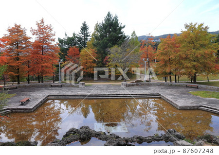 山手台中央公園 87607248