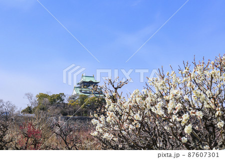 大阪城　梅園 87607301