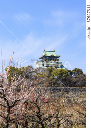大阪城 梅園 大阪城 梅園 87607311